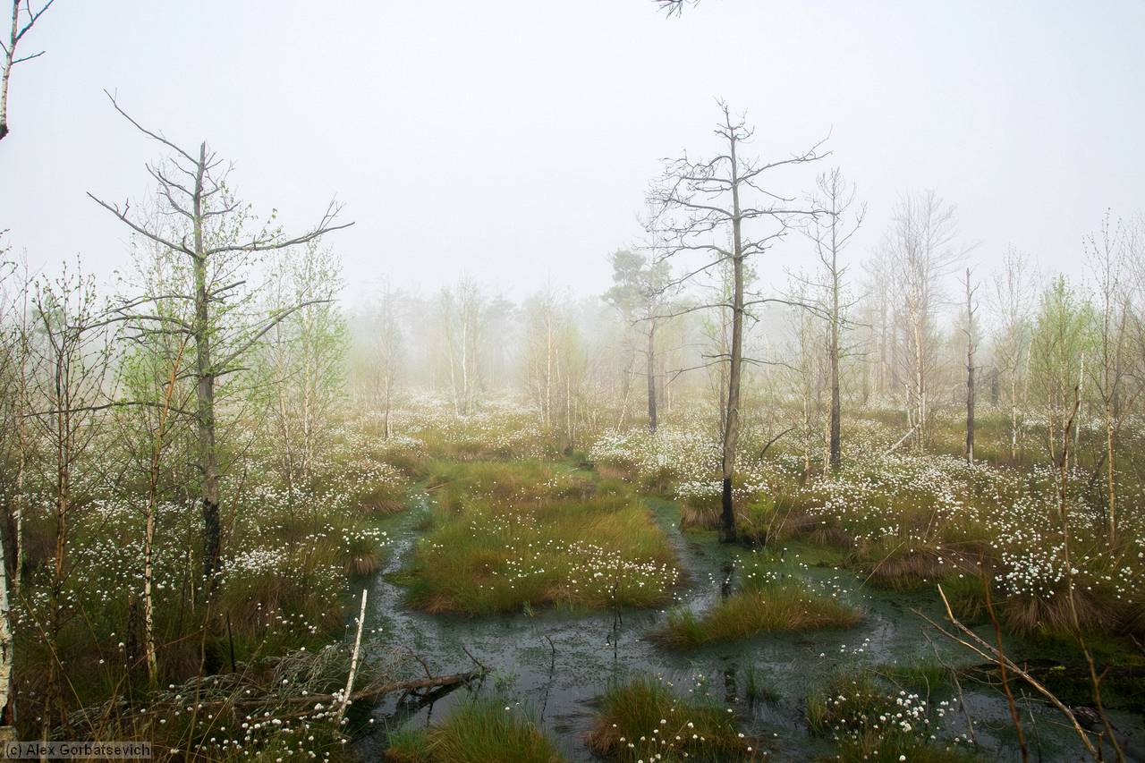 ���������� ������