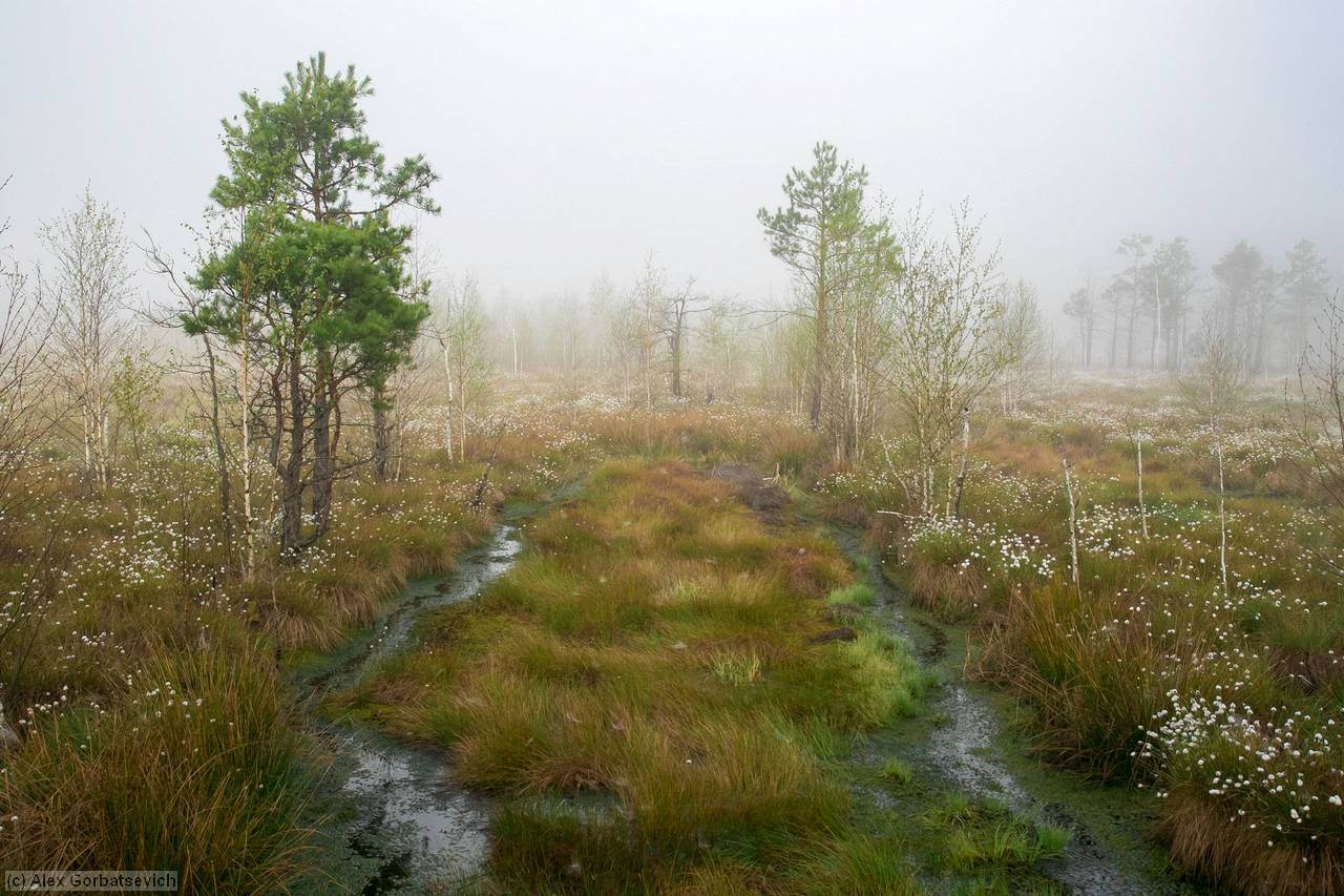 ���������� ������