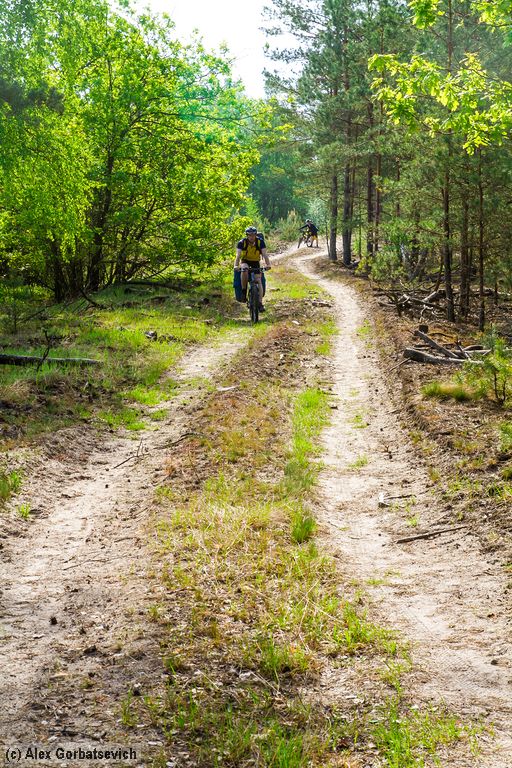 ��������� �������