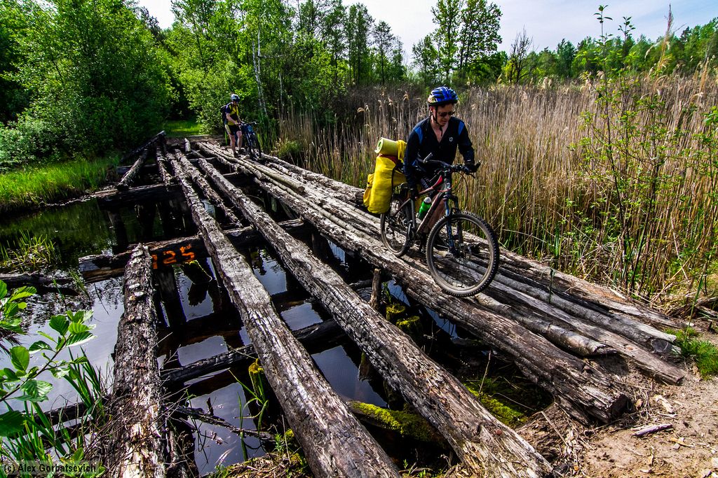 ����� ����