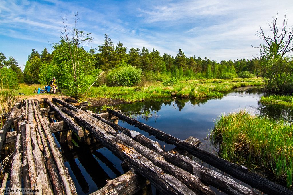 ���� ����� �����