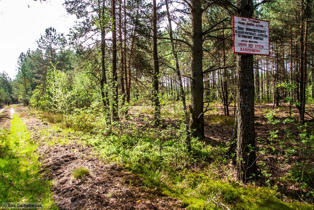 ������� "������� ������"