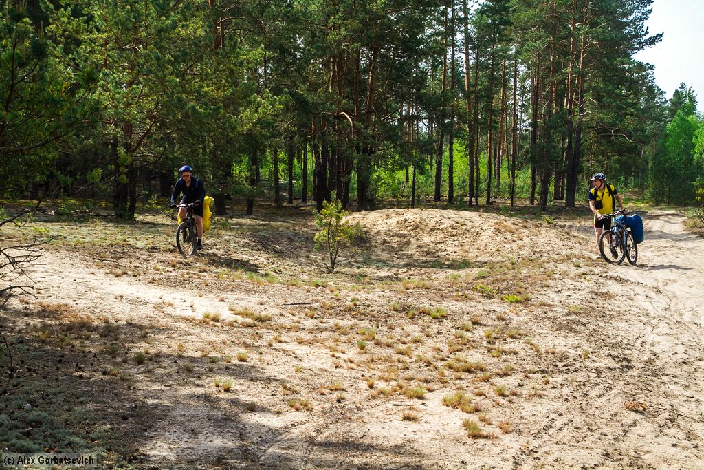 ������ �������