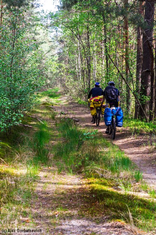 ����� ���