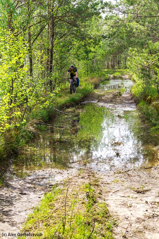 �� �����������