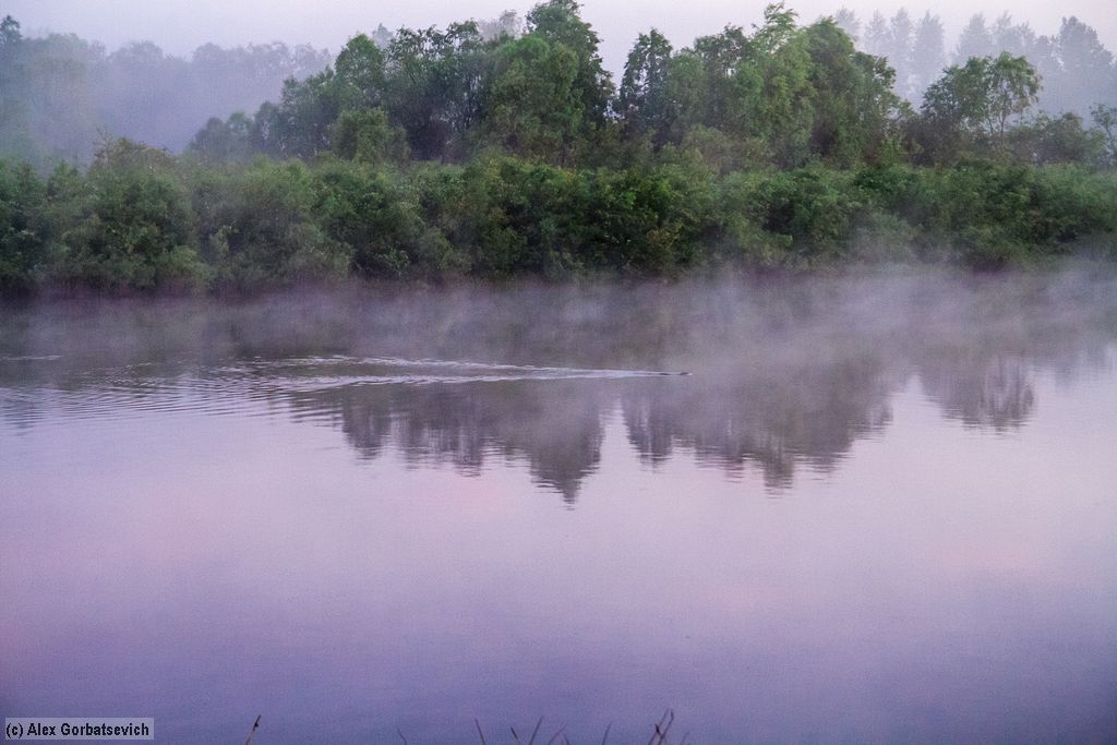 ����� �����