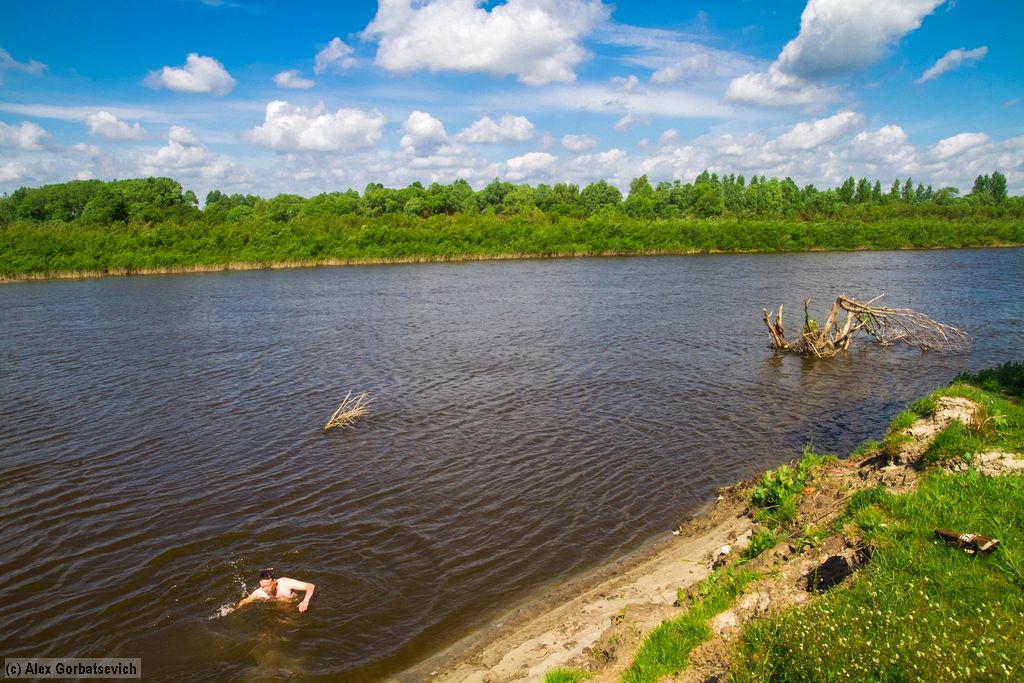 ������ ���������