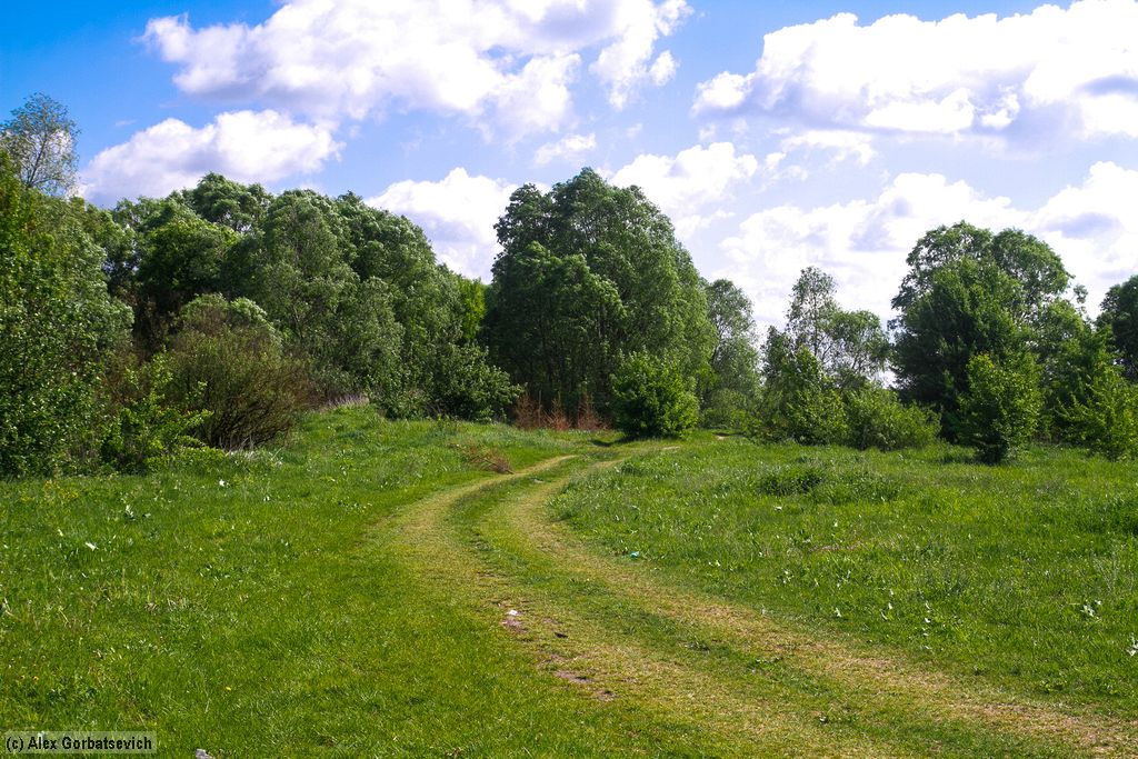 �� �����