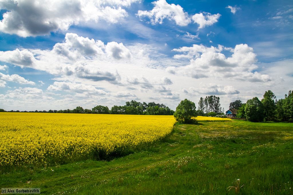 � ���� ����