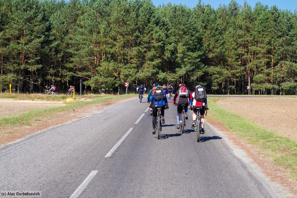 �� ���� �������...