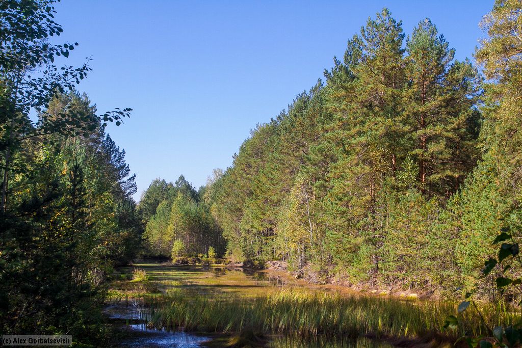 ������, ��� �� ������ � ��������