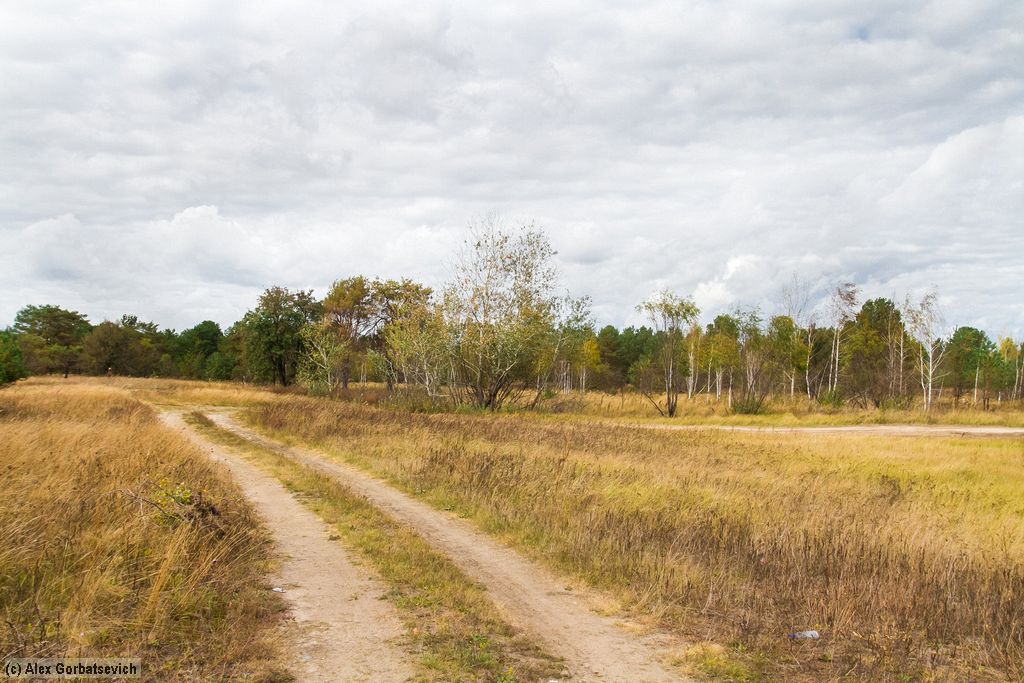 ����� �������