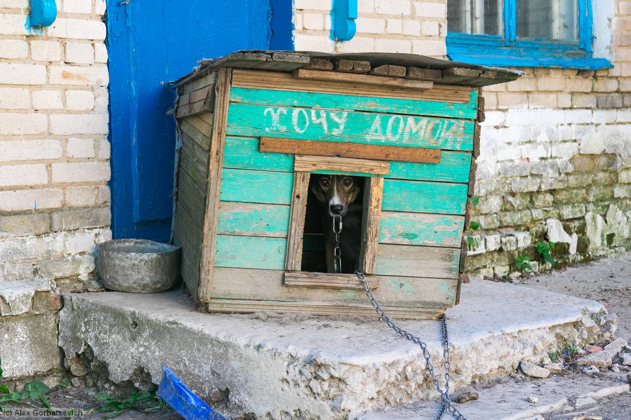 ���� �����!!!