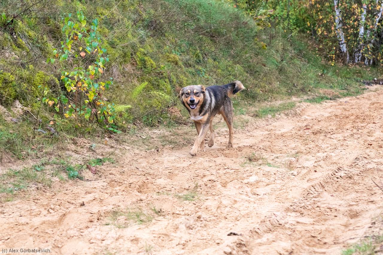 �� ������. ������� �����!