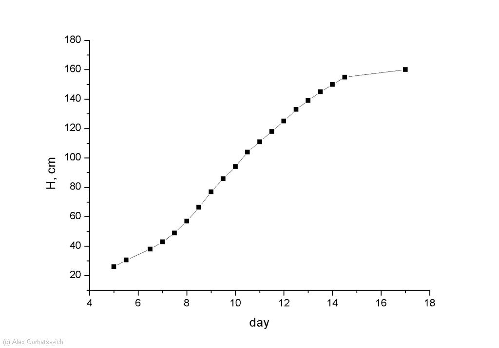 ������ ����� ������