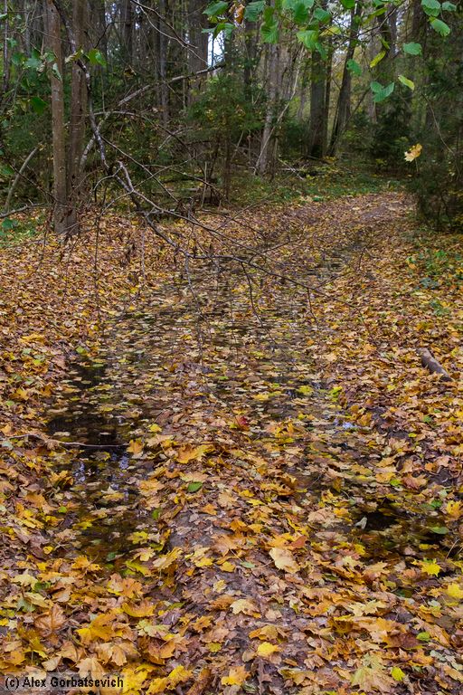 ���������� �������