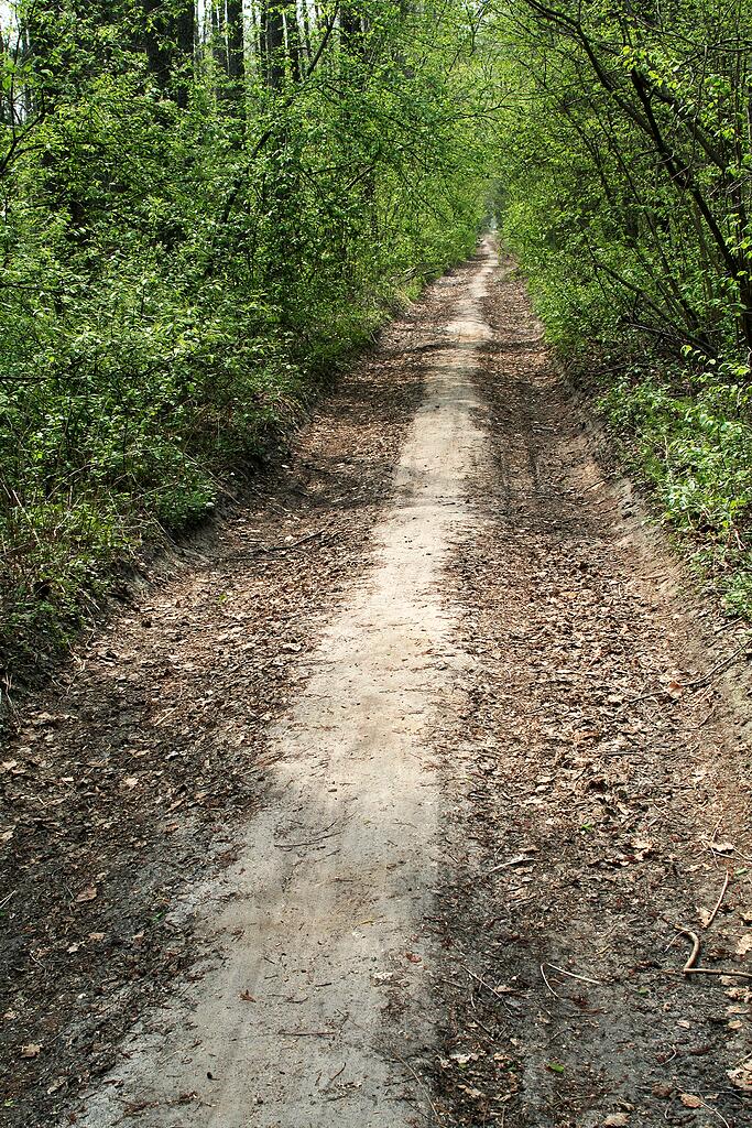 ����������� �����������