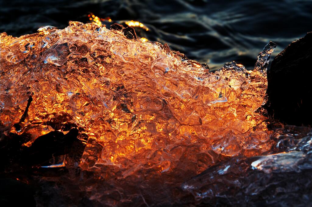 "������"