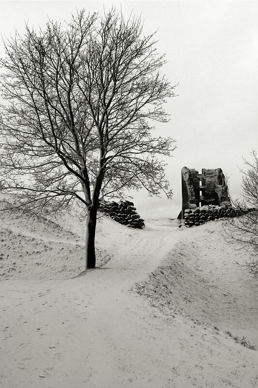 ������ � ����������