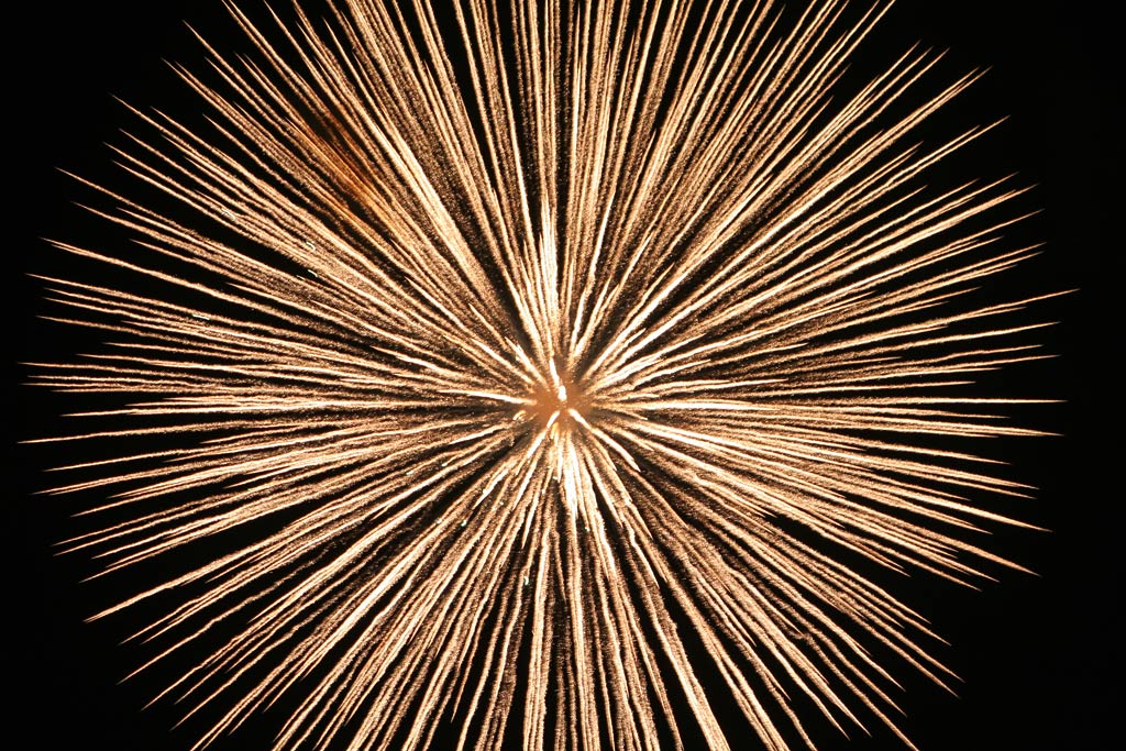 � ��������