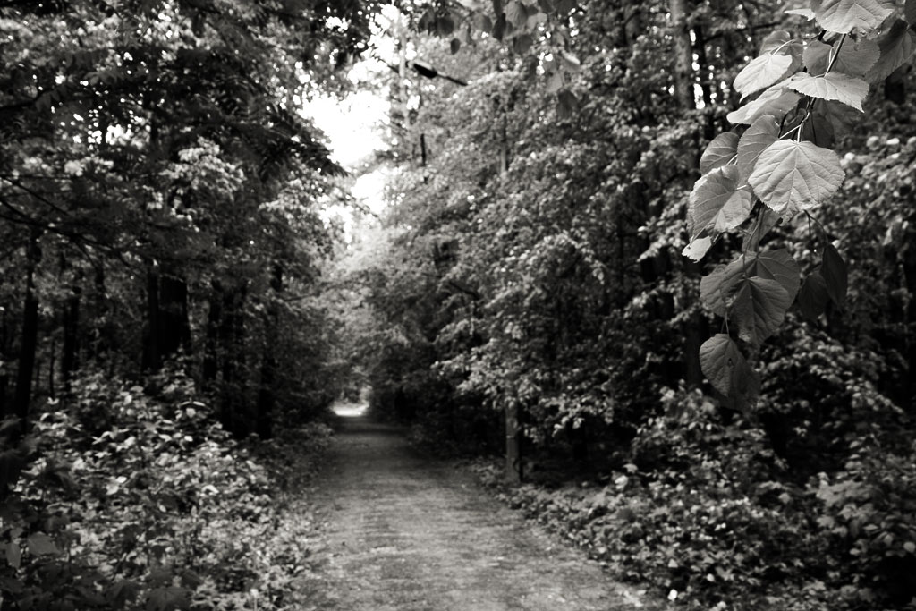 ����������� �����