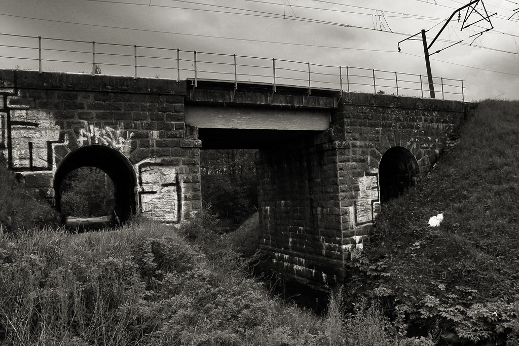 ������� ����