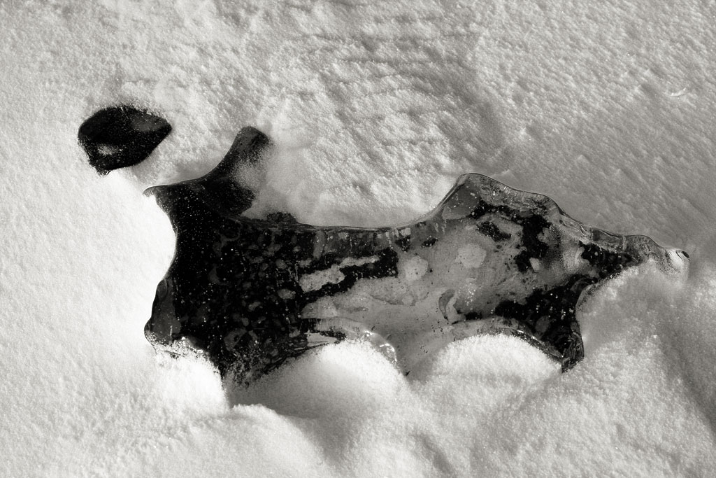 �������� �����