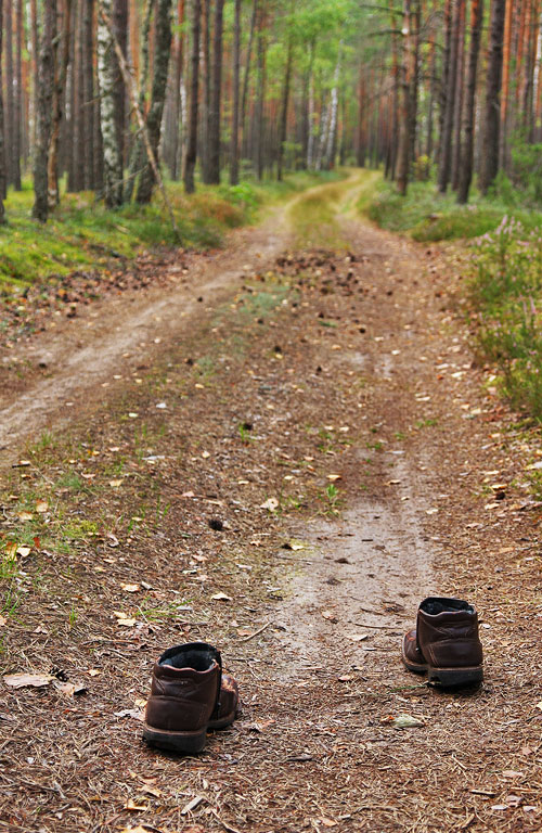 ������ � ������������