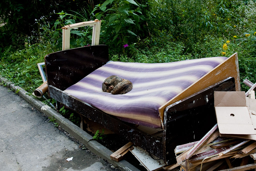 ������� �� ������ ��� ��������� ����.. �����