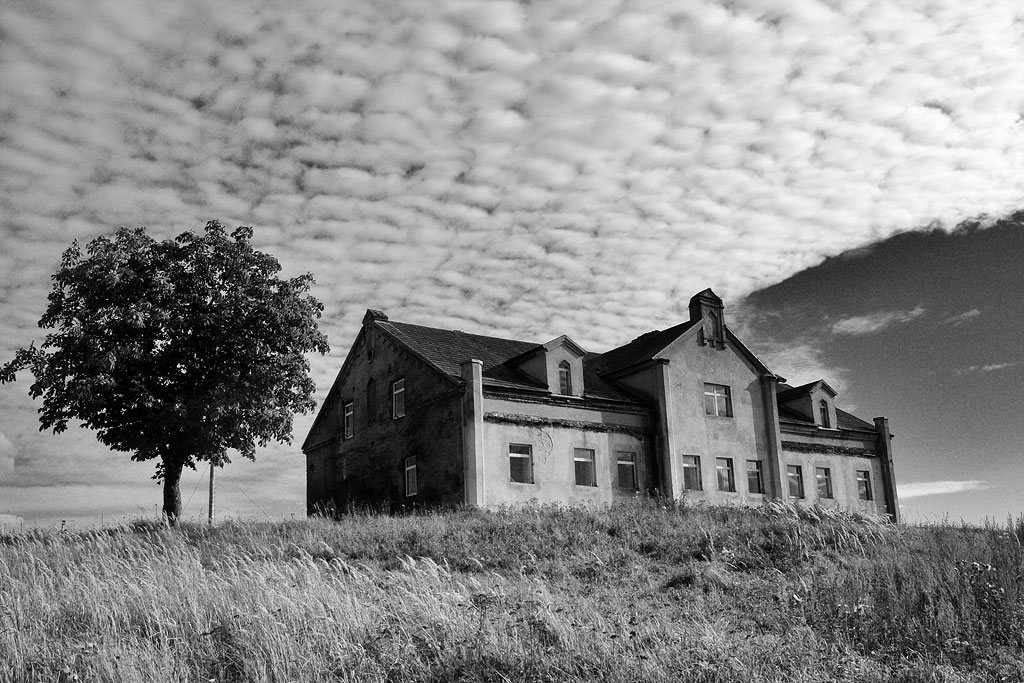 ������ ���