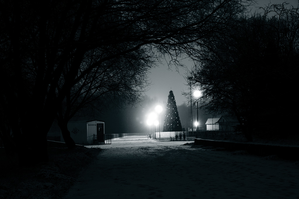 ����������