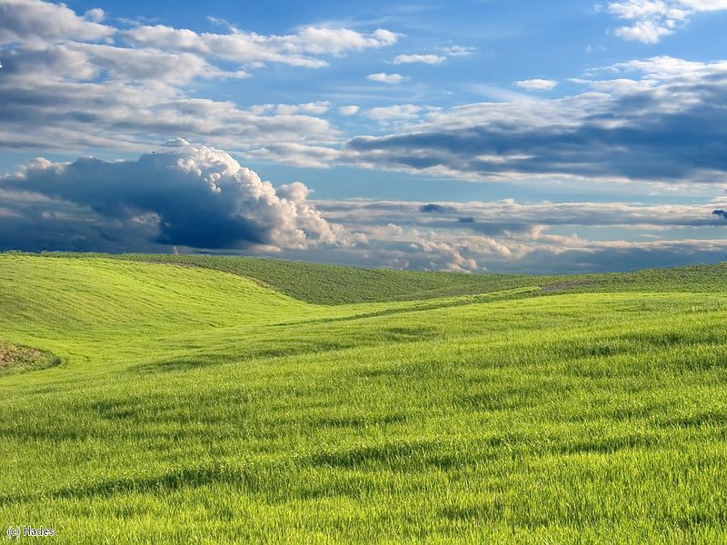 ������ ����� �������.