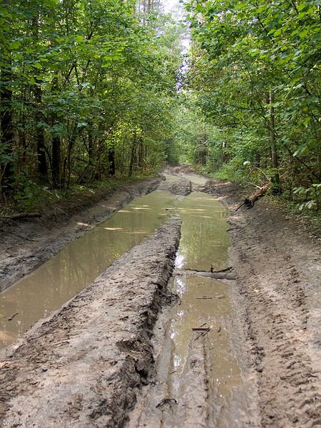 ���� ������.