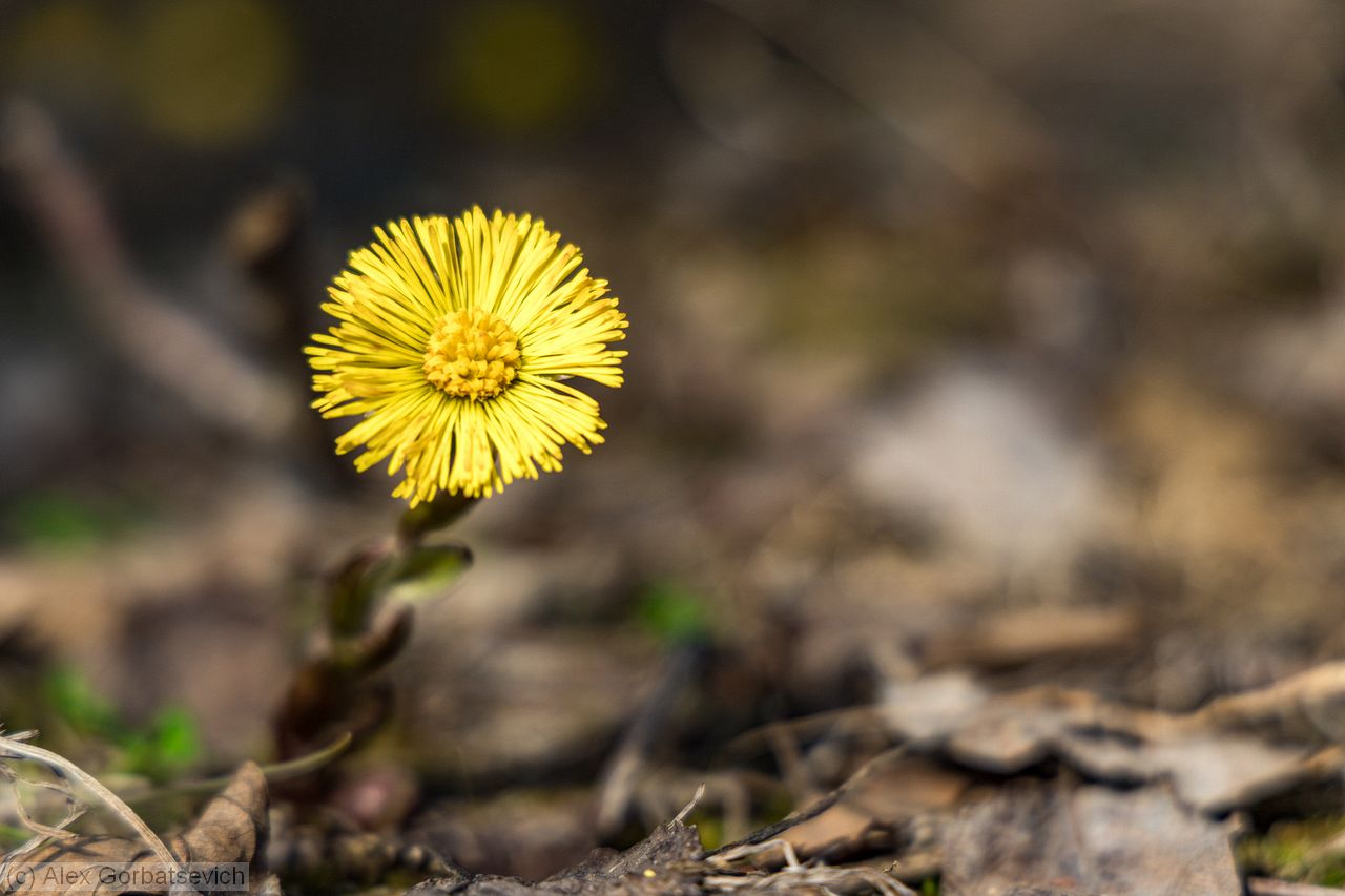 ���� � ������