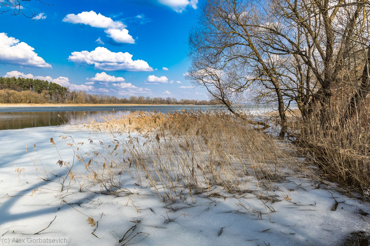 ����� �����