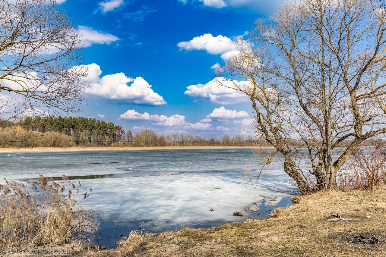 �� ������