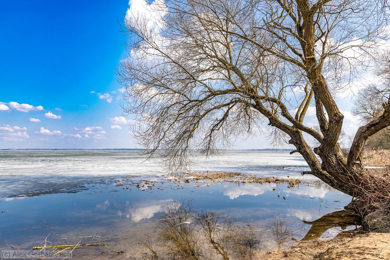 �� ������