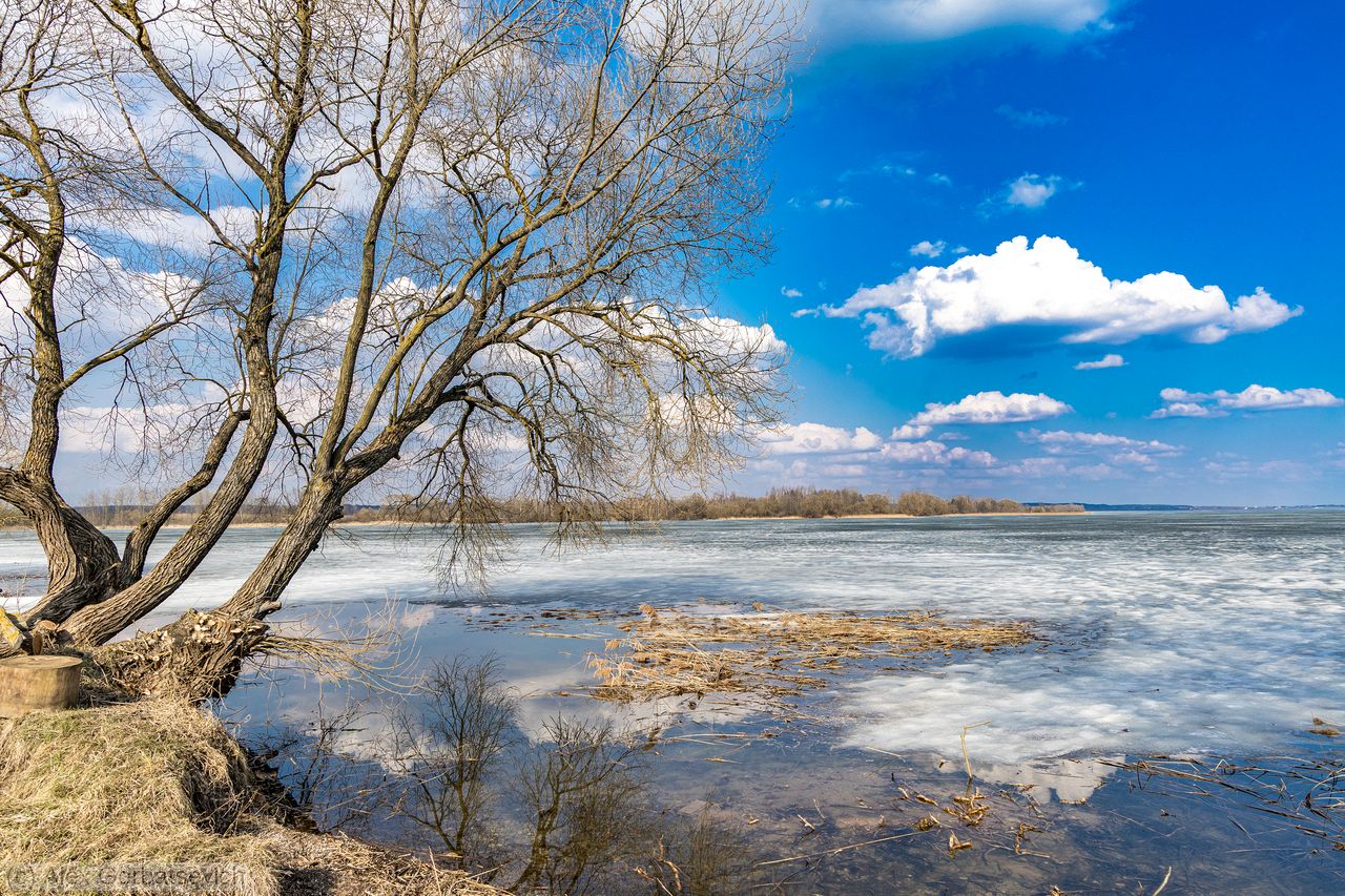 �� ������