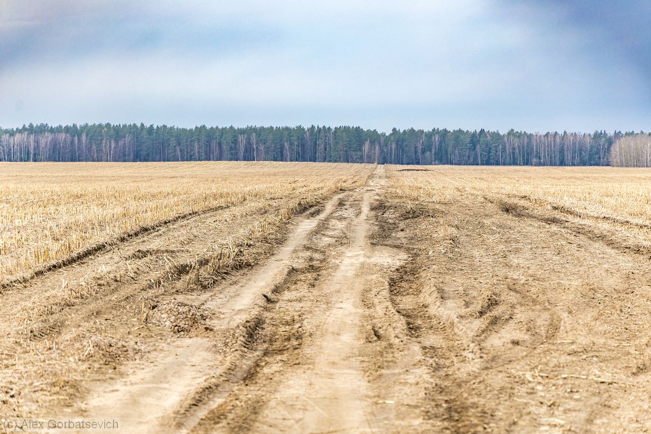 ������ ����� ����