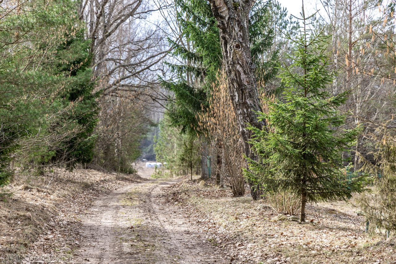 ����� �� ���������