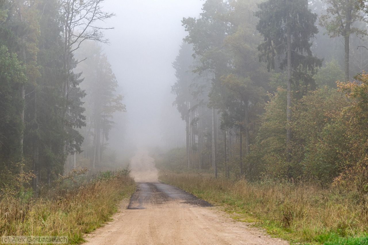 SilentHill