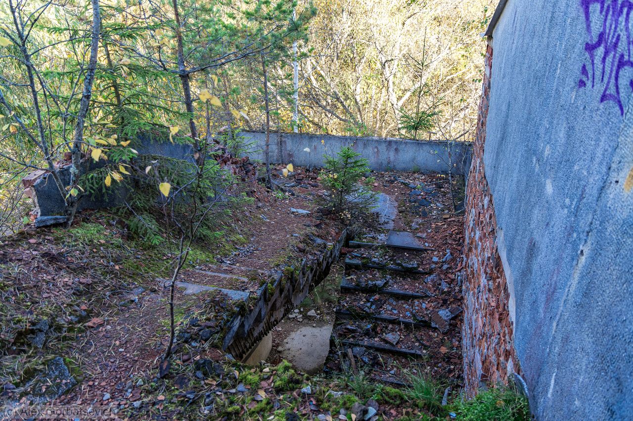 ������� ����